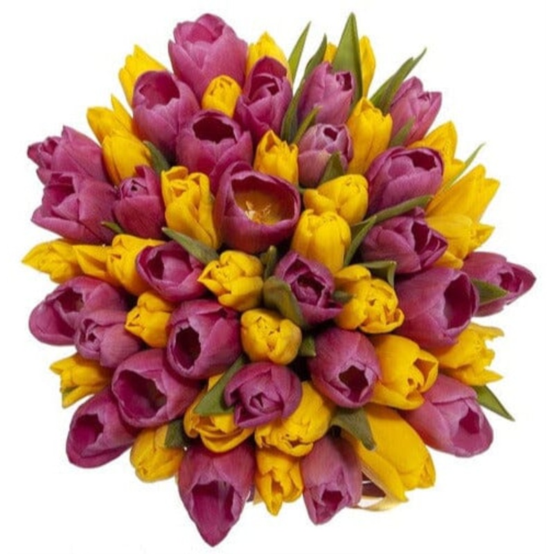 Cerise & Yellow Tulips Bouquet
