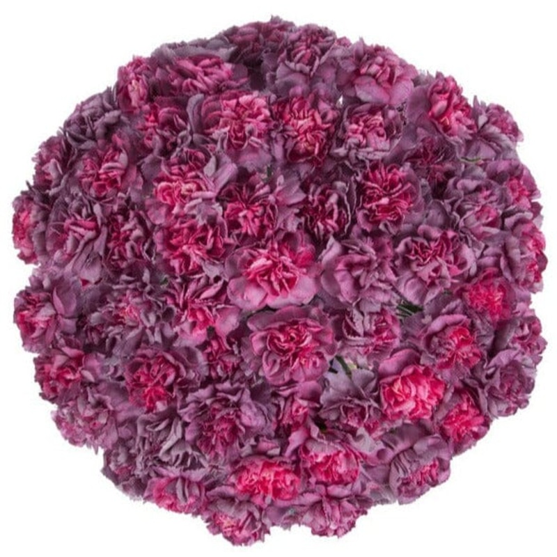 Copper Extasis Carnations Bouquet