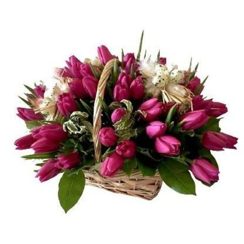 Easter Basket of Tulips-Small (20 stems) & Medium (30 stems) & Regular (40 stems) & Large (50 stems) & Extra Large (65 stems) & Luxury (80 stems) & Glamour (100 stems) & Exclusive Glamour (120 stems) & Premium (140 stems)-Only Dark Pink Tulips & Only Yell