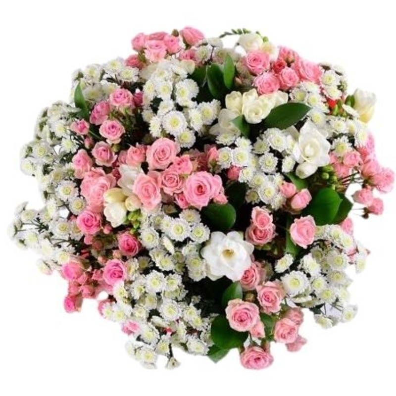 Pink Spray Roses with White Tanacetum Rio Bouquet