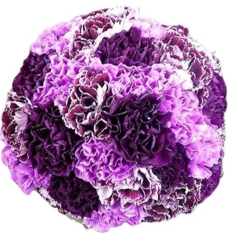 Purple and Lavender Carnations Bouquet
