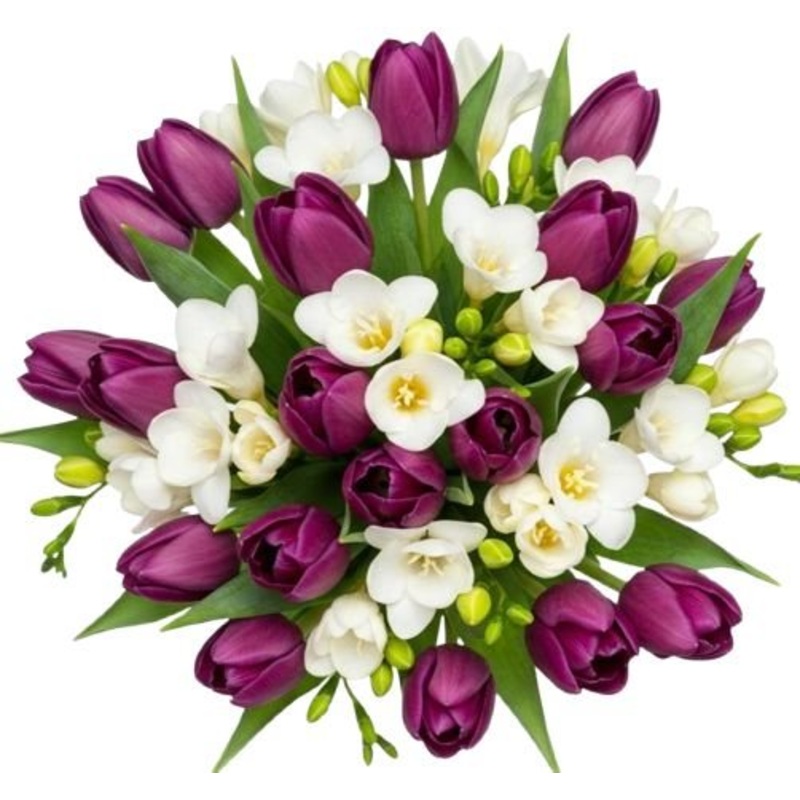 Purple Tulips and Freesias Bouquet