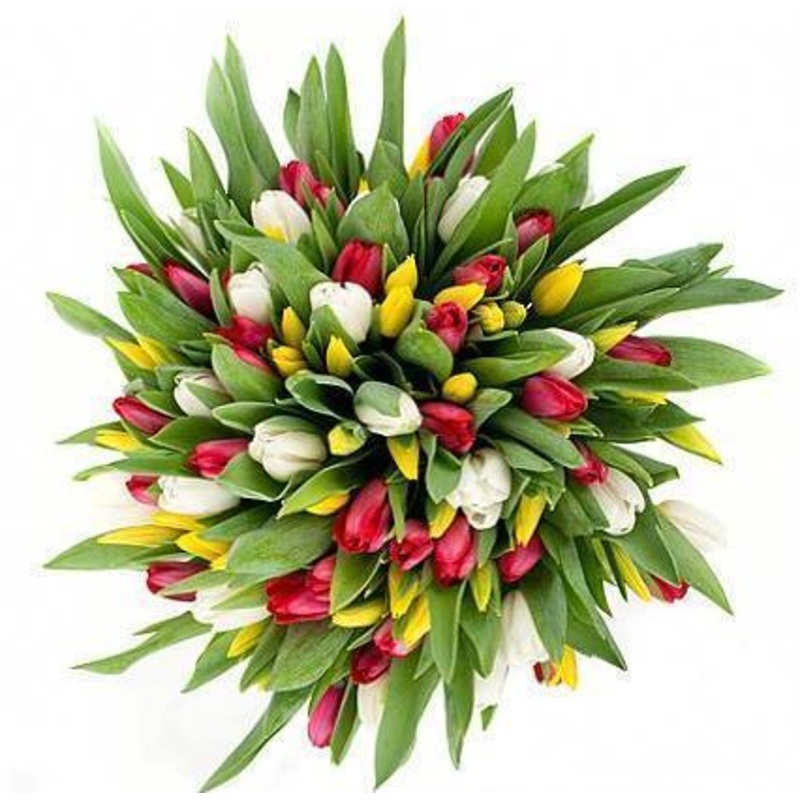 Red White and Yellow Tulips Bouquet
