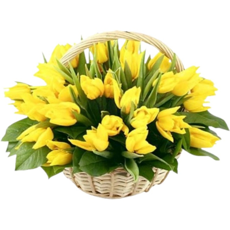 Spring Tulips Basket-Small (30 stems) & Medium (45 stems) & Regular (60 stems) & Large (75 stems) & Extra Large (90 stems) & Luxury (100 stems) & Glamour (120 stems) & Exclusive Glamour (150 stems) & Premium (170 stems) & Posh (200 stems) & Deluxe (300 st
