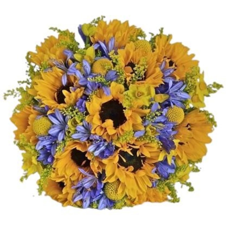 Sunflowers with Agapanthus Bouquet
