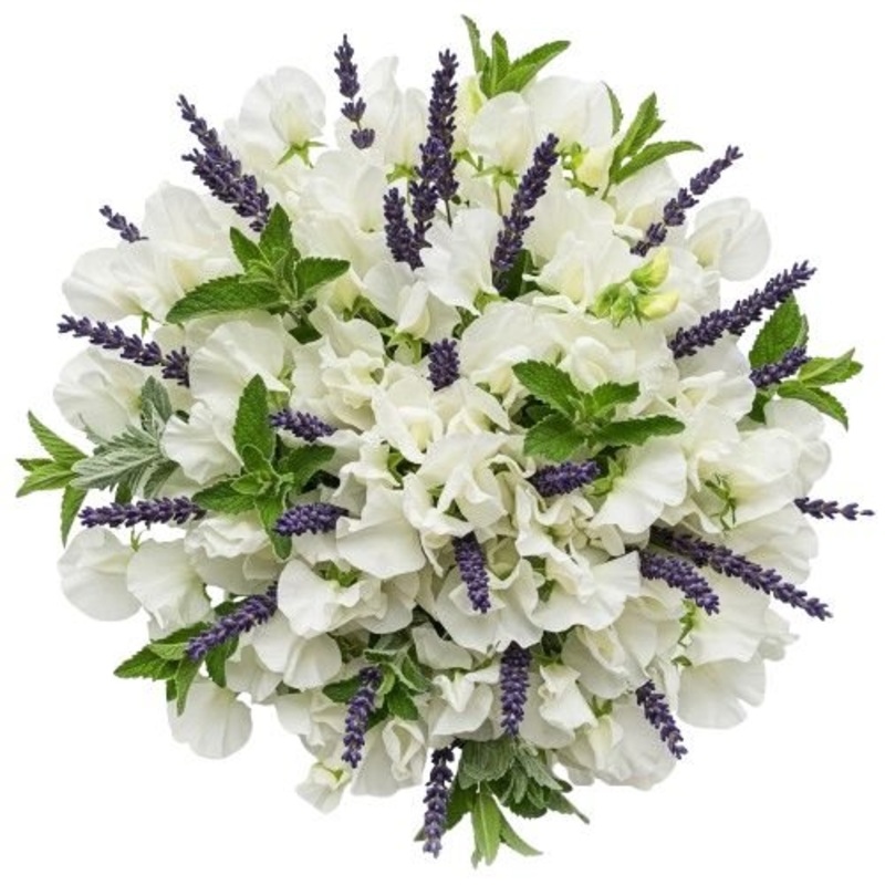 Sweet Pea with Lavender Bouquet