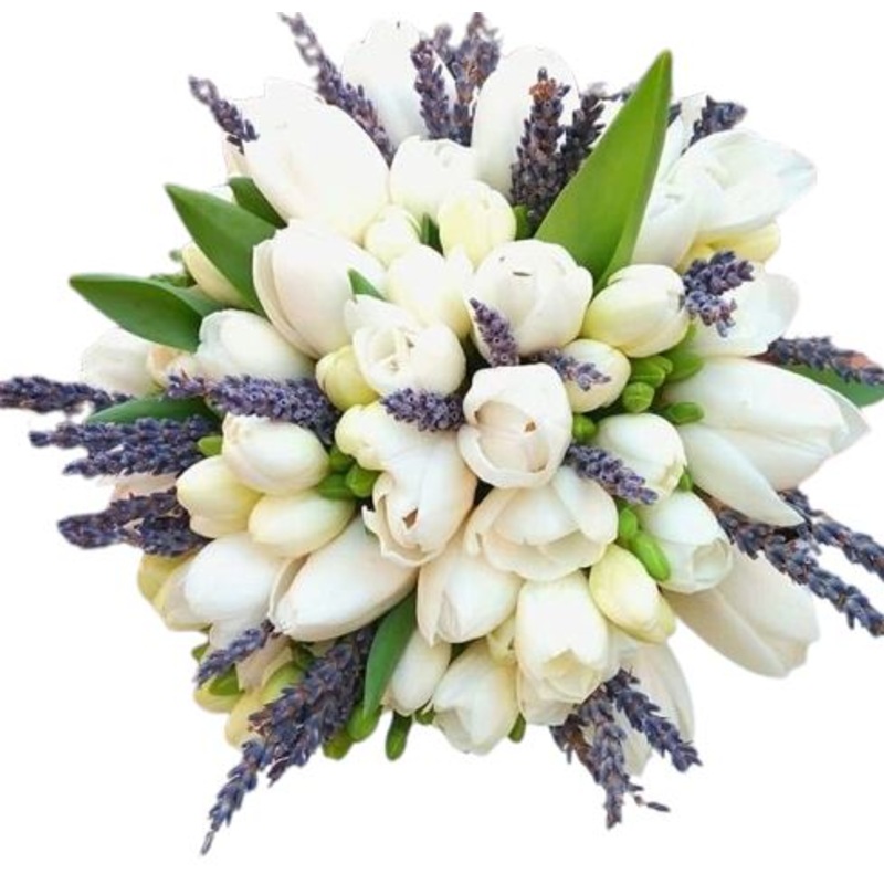 Tulips with Lavender Bouquet-Small (15 stems + lavender) & Regular (20 stems + lavender) & Large (30 stems + lavender) & Extra Large (40 stems + lavender) & Luxury (50 stems + lavender) & Glamour (60 stems + lavender) & Exclusive (70 stems + lavender) & E