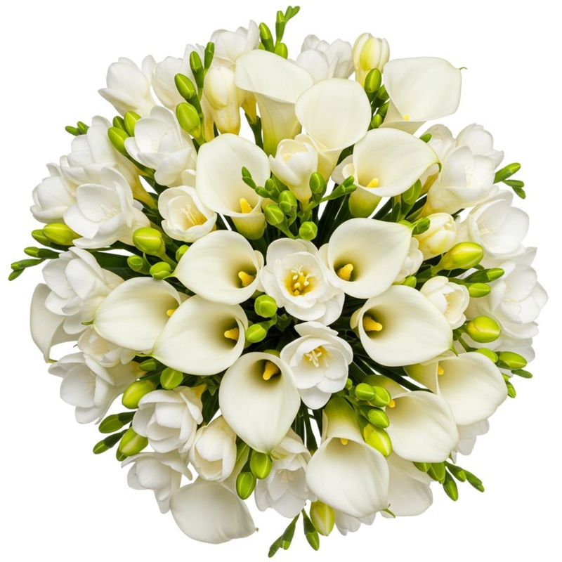 White Calla Lily and Freesia Bouquet