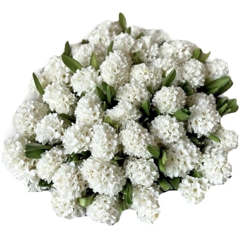 White Hyacinth Bouquet-Small (15 stems) & Regular (20 stems) & Medium (30 stems) & Large (40 stems) & Extra Large (50 stems) & Luxury (65 stems) & Glamour (85 stems) & Exclusive Glamour (100 stems)