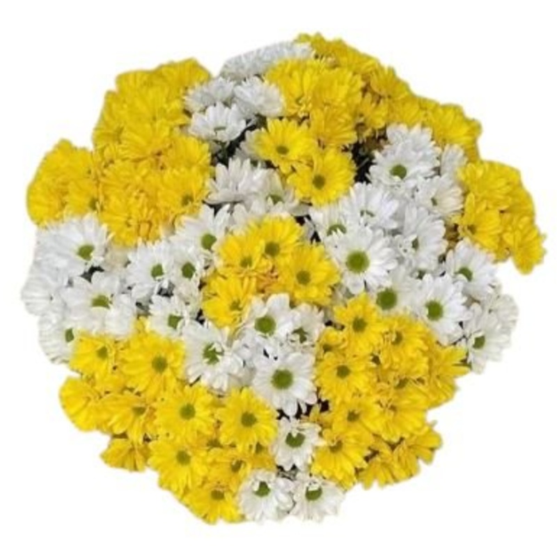 Yellow and White Chrysanthemum Bouquet