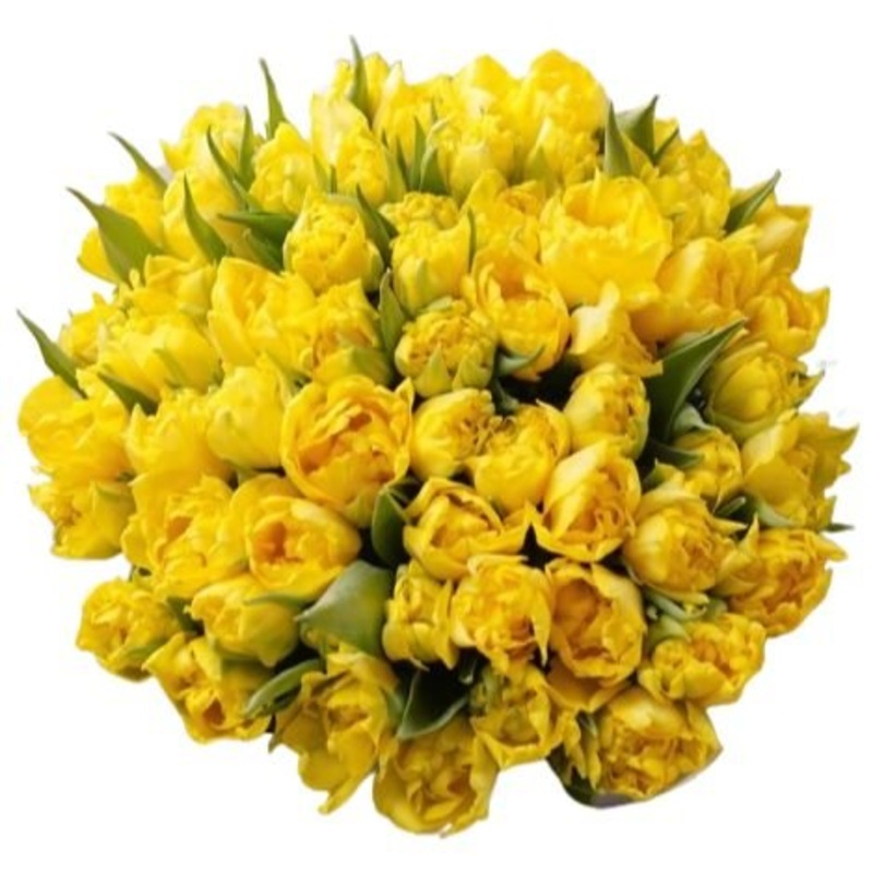 Yellow Double Tulips Bouquet-Mini (10 stems) & Extra Small (15 stems) & Small (20 stems) & Medium (25 stems) & Regular (30 stems) & Large (40 stems) & Extra Large (50 stems) & Luxury (65 stems) & Glamour (80 stems) & Exclusive Glamour (100 stems) & Premiu