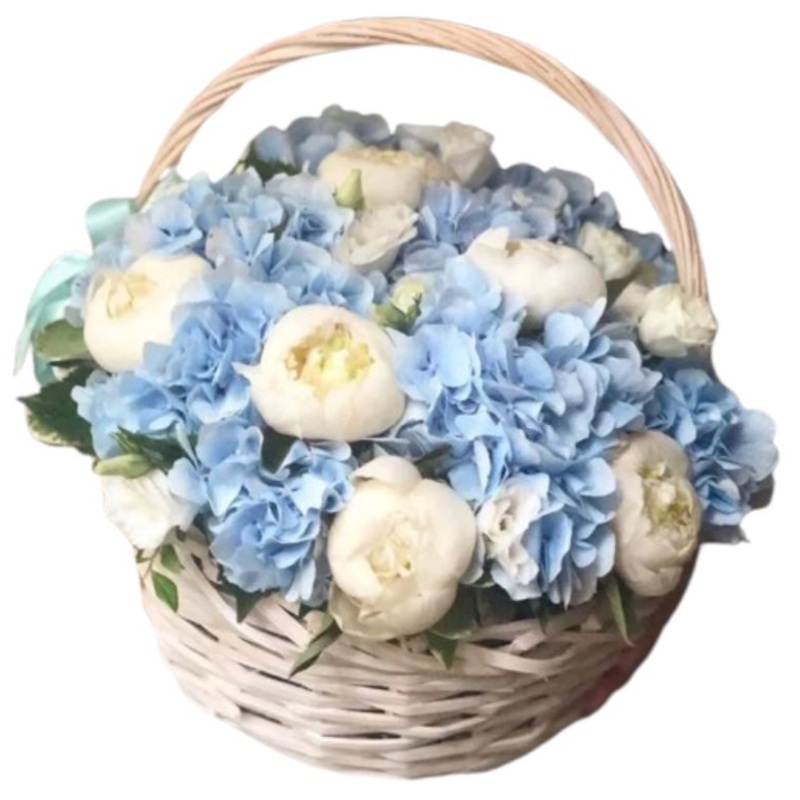 Basket of White Peonies in Blue Hydrangea