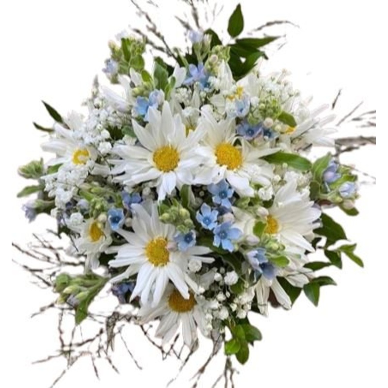 Daisies with Blue Oxypoethalum Bouquet