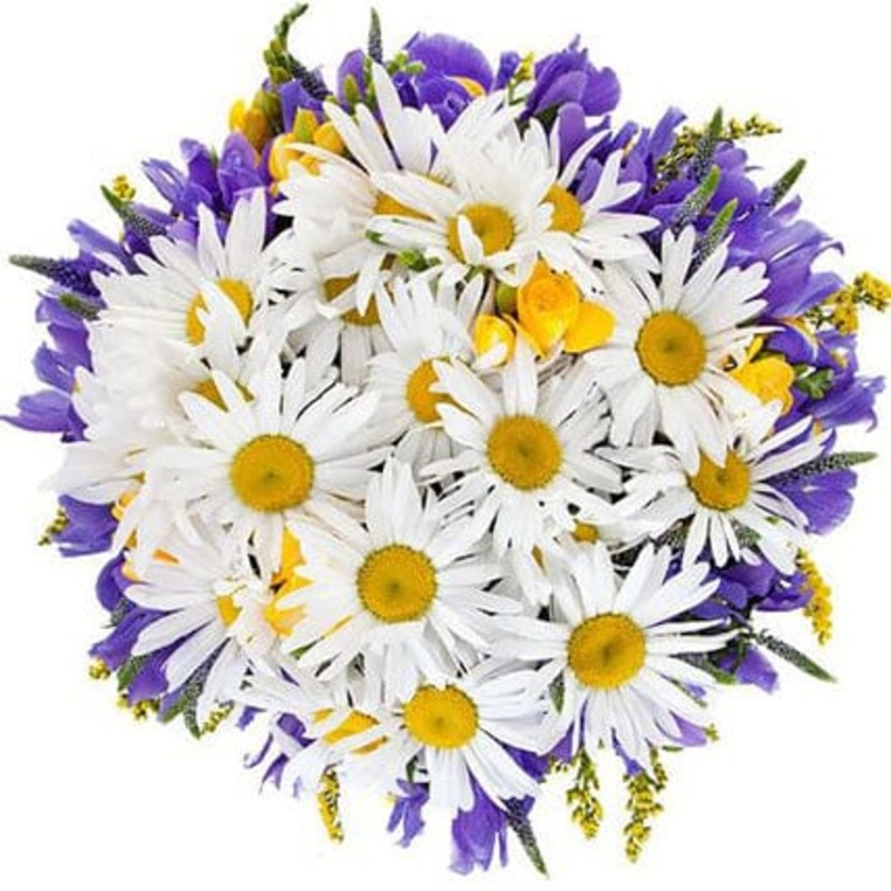 Daisy and Iris Bouquet-Extra Small (25 stems) & Small (35 stems) & Regular (45 stems) & Medium (55 stems) & Large (70 stems) & Extra Large (85 stems) & Luxury (100 stems) & Glamour (125 stems) & Exclusive Glamour (150 stems) & Posh (200 stems)