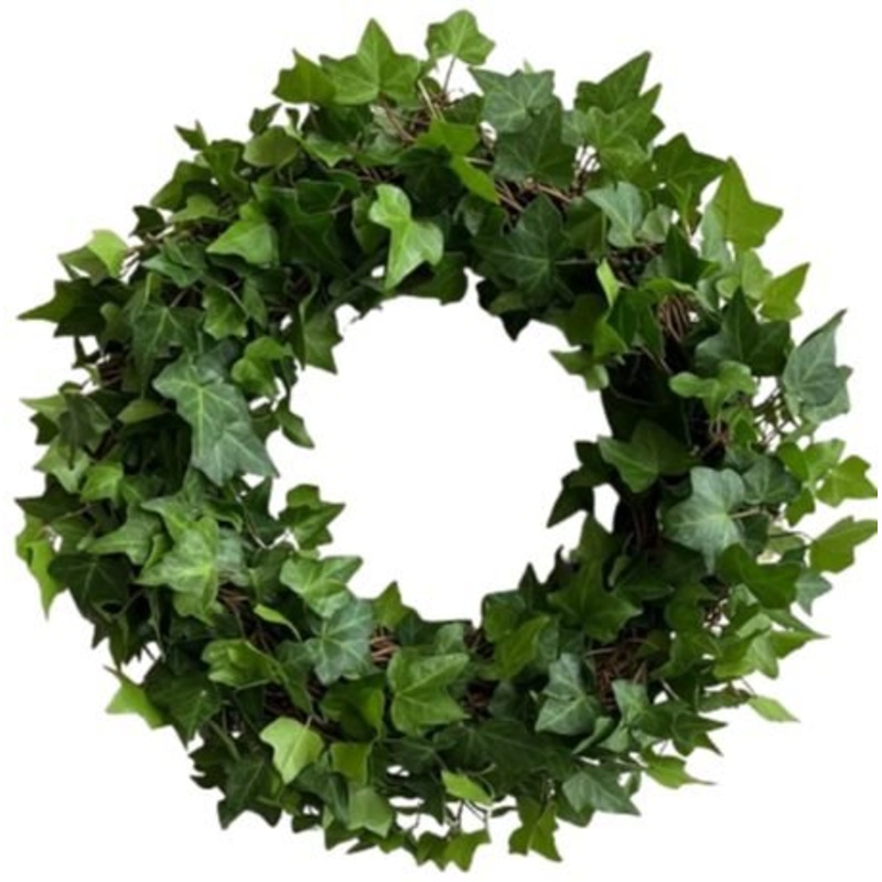 Fresh Green Hedera Wreath-36cm  (14 inch) & 42cm (16 inch) & 51cm (20inch)