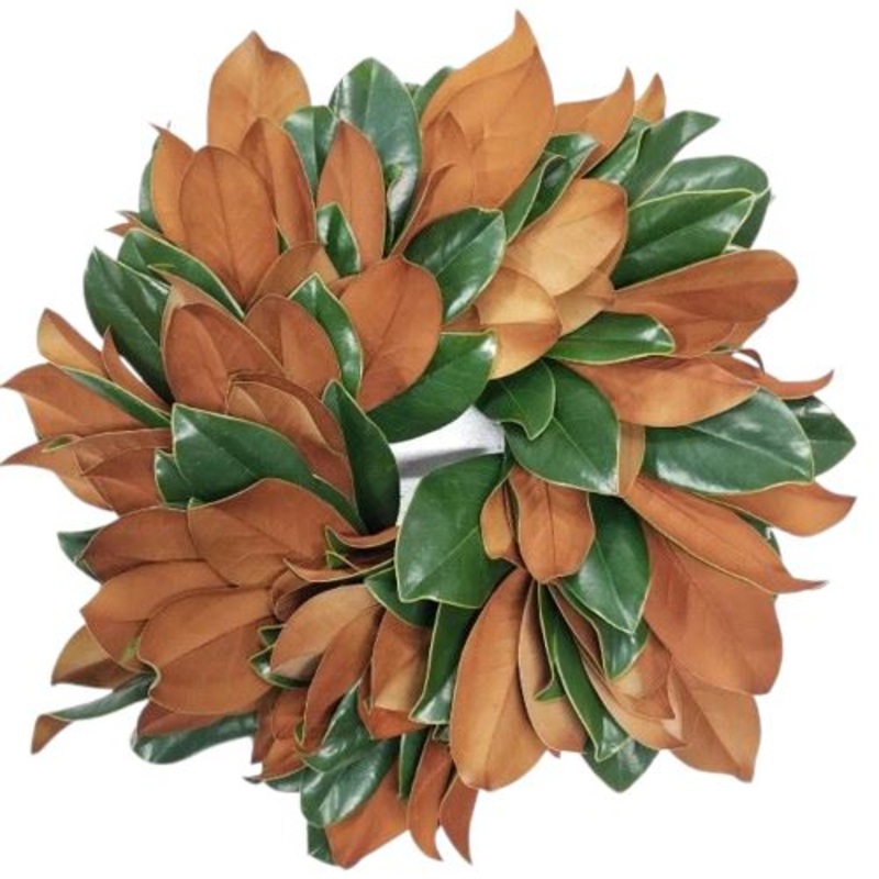 Magnolia Leaves Door Wreath-30cm (12 inch) & 42cm (16inch) & 50cm (20 inch) & 60cm (24 inch) & 80cm (32 inch) & 100cm (40 inch)