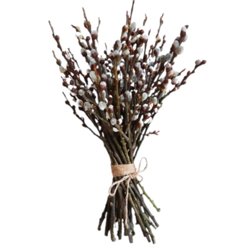 Pussy Willow Catkins | Bring Nature Indoors with Salix Foliage