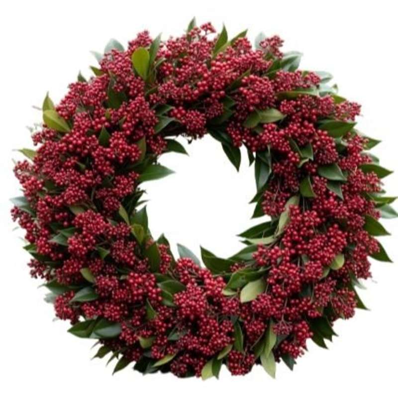 Red Skimmia Holiday Wreath-36cm (14 inch) & 42cm (16inch) & 50cm (20 inch) & 60cm (24 inch) & 80cm (32 inch) & 100cm (40 inch)