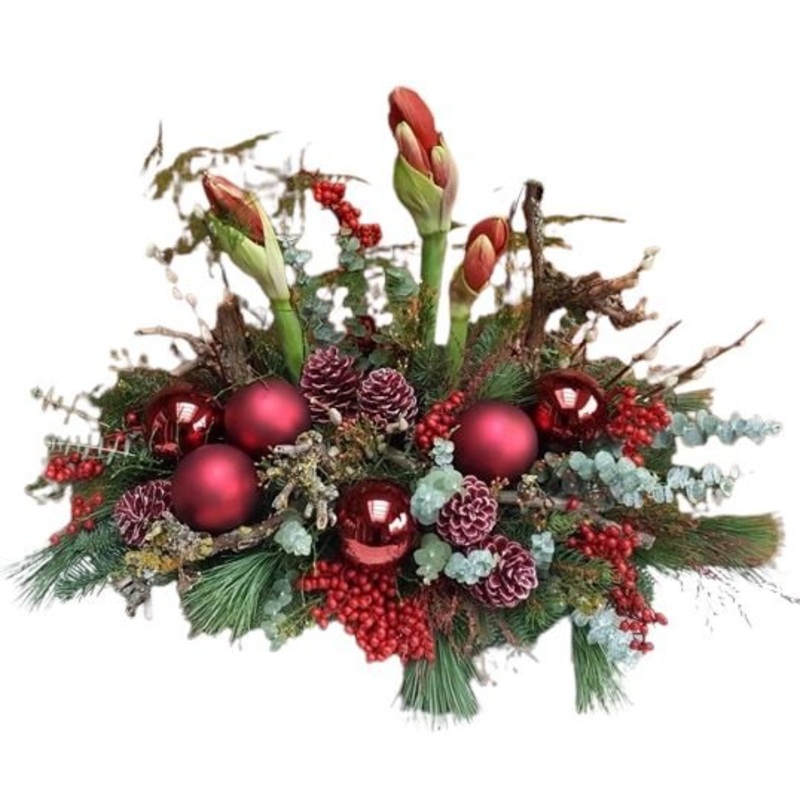Royal Red Amarylis Christmas Centerpice