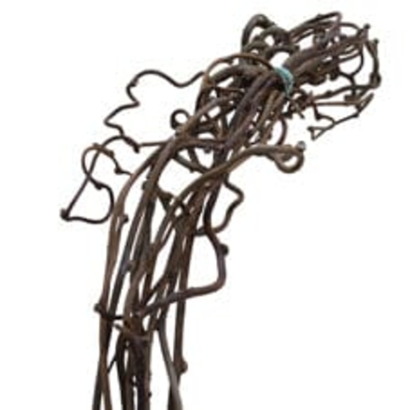 Salix Kiwi Branches  A Unique Touch for Your Holiday Decor