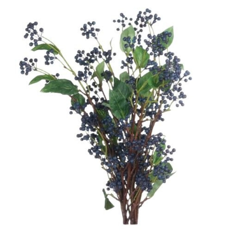 Viburnum Black Berries: Perfect for Seasonal Decor
