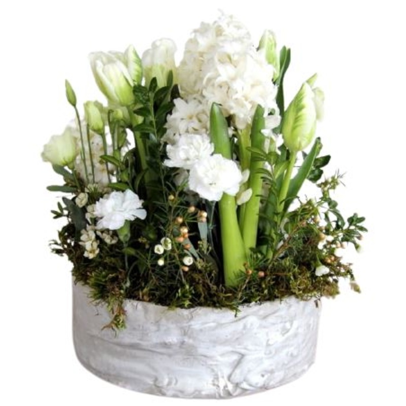 White Flowers in a Pot-Small (15 stems) & Medium (25 stems) & Large (35 stems) & Luxury (50 stems)-Grey Pot & White Pot & Black Pot