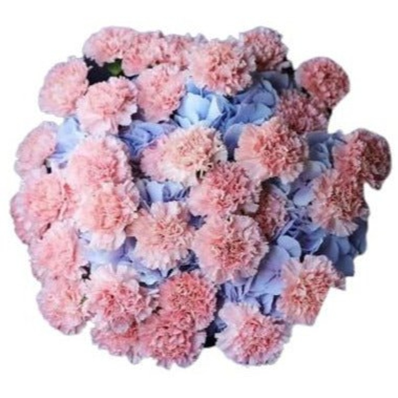 Blue Hydrangea with Carnations Bouquet