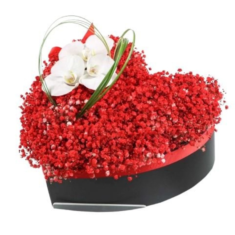 Charming Gypsophila Box with Orchids Accent