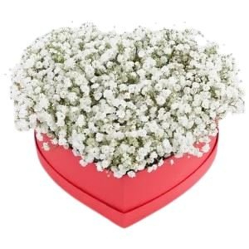Gypsophila in Heart Box-Extra Small (10 stems) & Small (15 stems) & Medium (20 stems) & Regular (25 stems) & Large (30 stems) & Extra Large (40 stems) & Luxury (55 stems) & Glamour (70 stems) & Exclusive Glamour (100 stems) & Premium (150 stems) & Premium