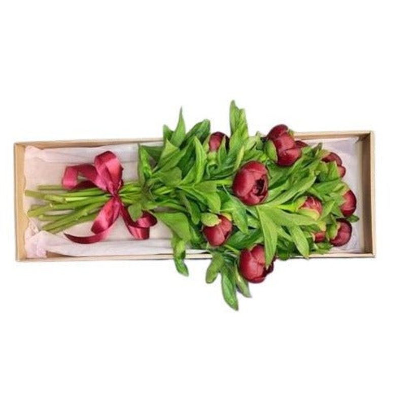 Peonies in Luxury Gift Box-Extra Small (5 stems) & Small (10 stems) & Medium (15 stems) & Large (20 stems) & Extra Large (25 stems) & Luxury (30 stems)-Red & Pink & White & Coral & Cerise-CREAM & GRAY & RED