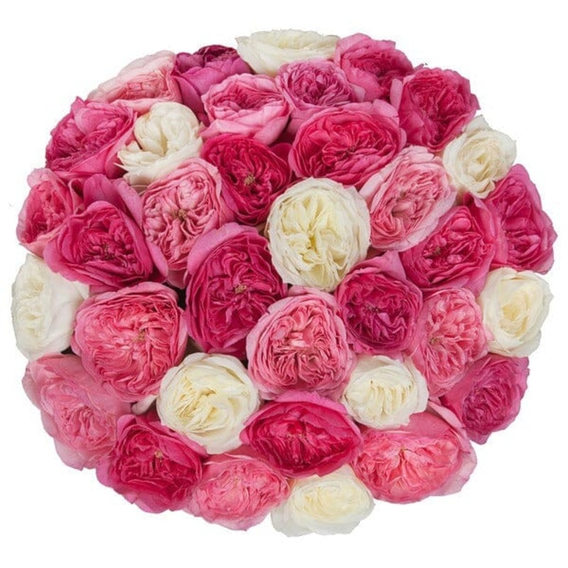 Shades of Pink Garden Roses with a White Accent Bouquet