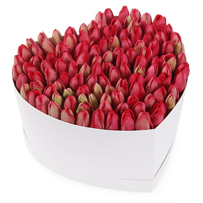 Wonderful Tulips Heart Box-Extra Small (20 stems) & Small (30 stems) & Medium (40 stems) & Regular (50 stems) & Large (80 stems) & Extra Large (100 stems) & Luxury (150 stems) & Glamour (200 stems) & Exclusive Glamour (250 stems) & Premium (300 stems)-Red