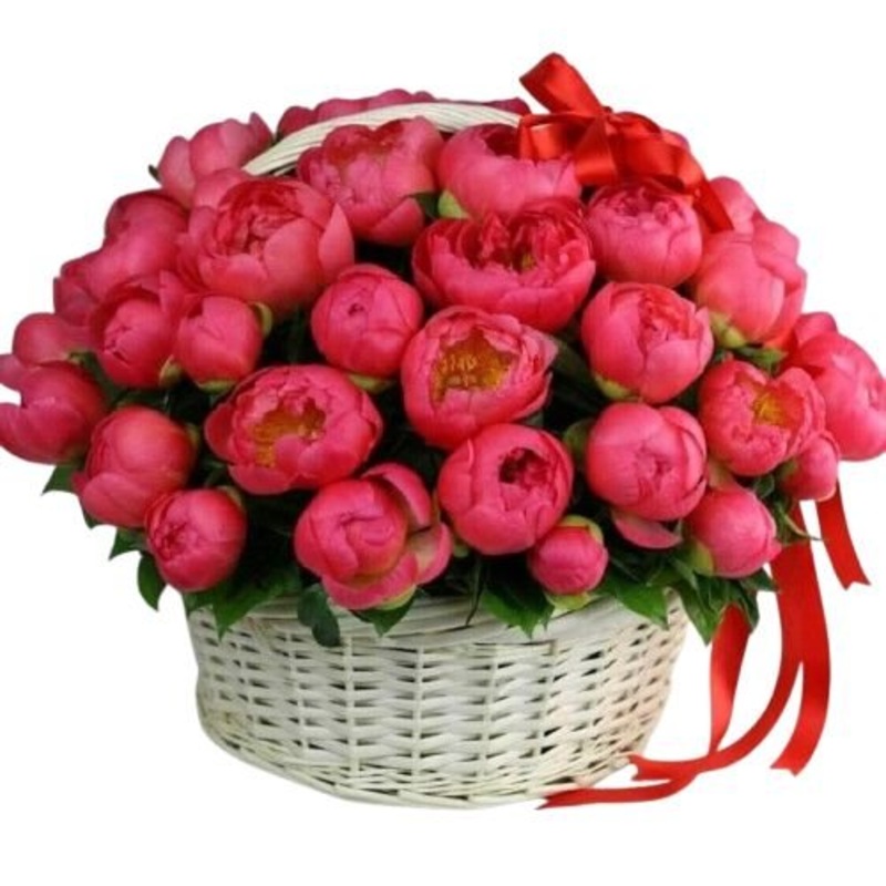 Amazing Coral Peonies Basket-Extra Small (10 stems) & Small (15 stems) & Medium (20 stems) & Regular (25 stems) & Large (30 stems) & Extra Large (35 stems) & Luxury (40 stems) & Glamour (50 stems) & Exclusive Glamour (60 stems) & Premium (80 stems) & Prem