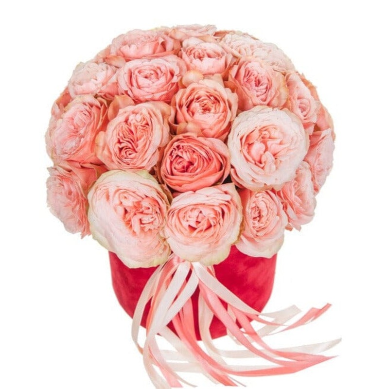 Amazing Kahala Peach Roses Box
