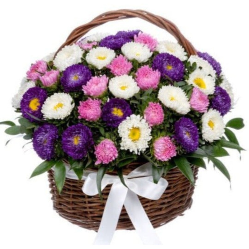 Asters Flowers in the Basket-Small (20 stems) & Medium (30 stems) & Large (50 stems) & Extra Large (70 stems) & Luxury (90 stems) & Glamour (120 stems) & Exclusive Glamour (150 stems)-Mix Colour Aster & Purple and White Aster & Pink and Purple Aster & Pin