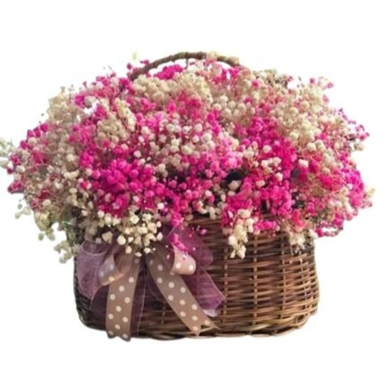 Basket of Charming Gypsophila Flowers