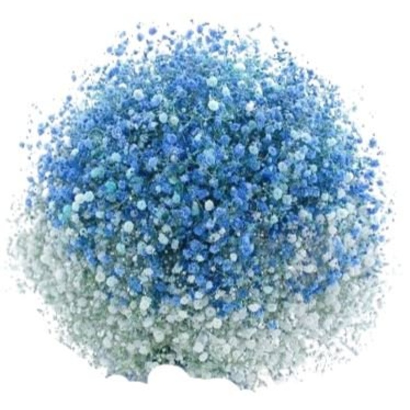 Blue and White Gypsophila Bouquet