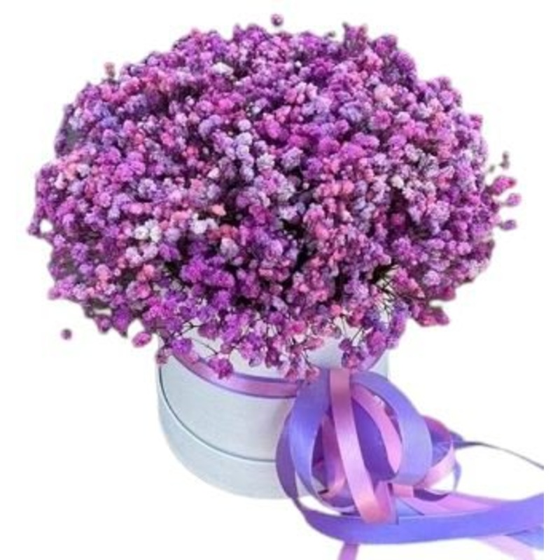 Box of Cerise and Purple Shedes Gypsophila