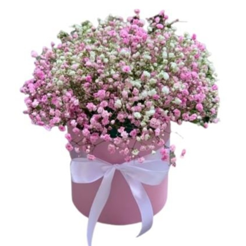 Box of Pink and White Gypsophila