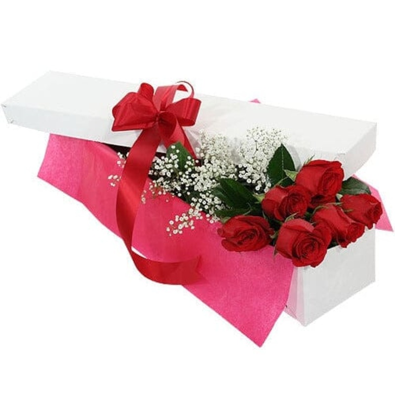 Box of Six Roses with Gypsophila