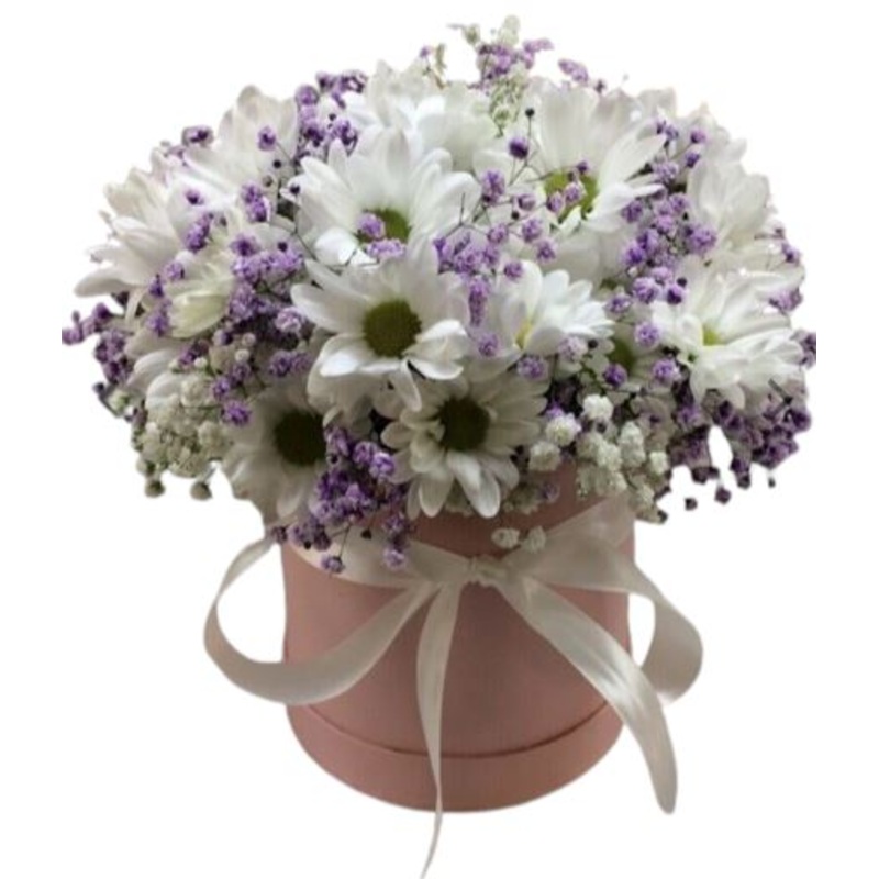 Charming Daisy Chrysanthemum with Gypsophilum Box