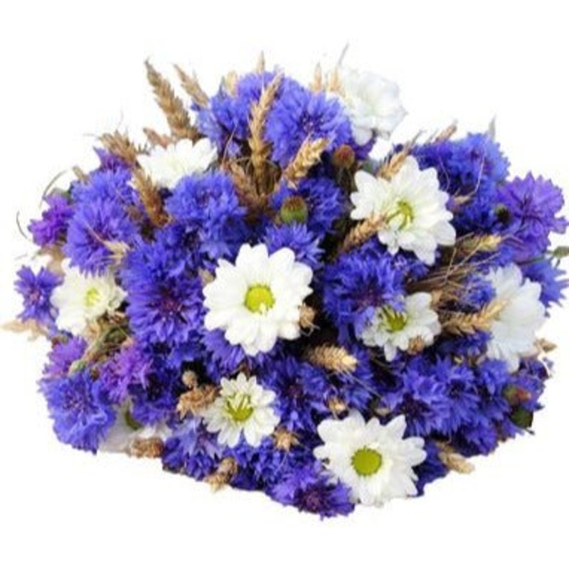 Chrysanthemum Daises and Cornflowers Bouquet
