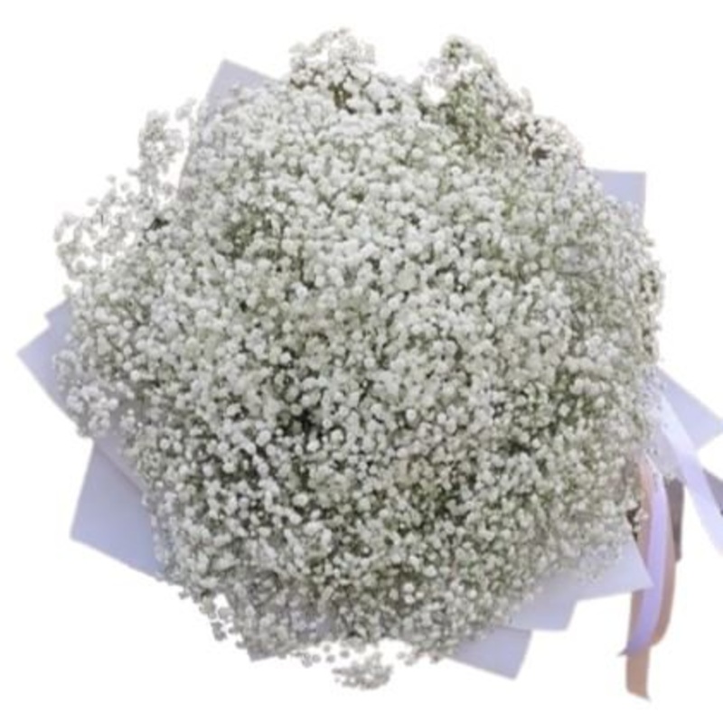 Classic White Gypsophila Bouquet