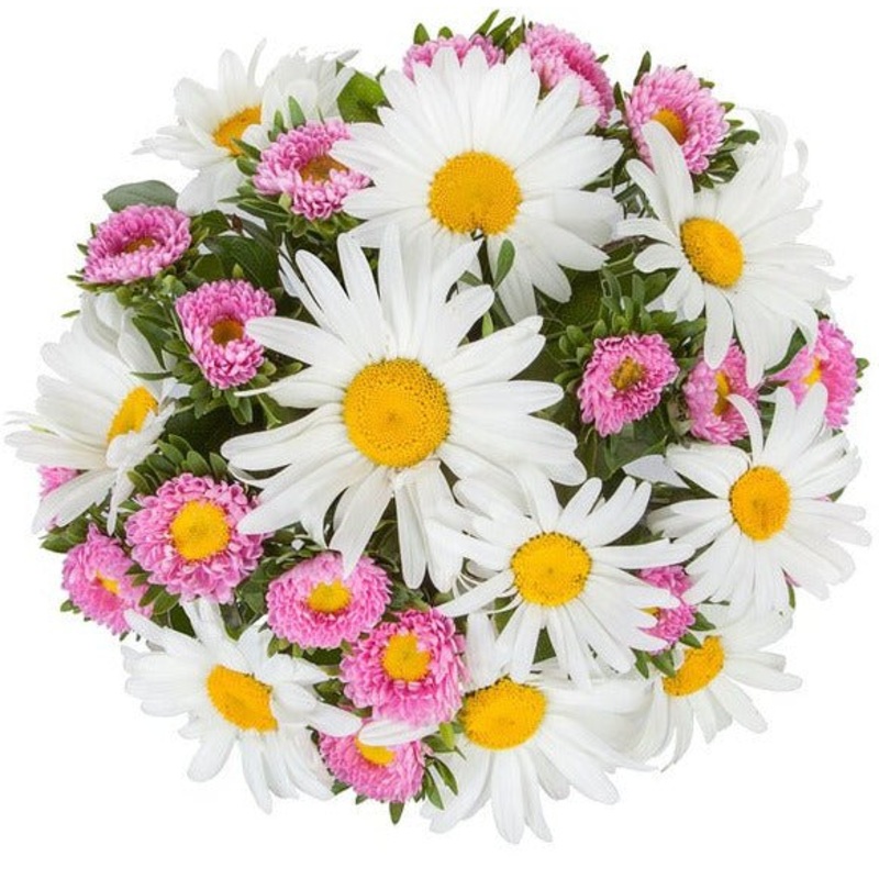 Daisies and Aster Bouquet-Extra Small (25 stems) & Small (35 stems) & Regular (45 stems) & Medium (55 stems) & Large (70 stems) & Extra Large (85 stems) & Luxury (100 stems) & Glamour (125 stems) & Exclusive Glamour (150 stems) & Posh (200 stems)