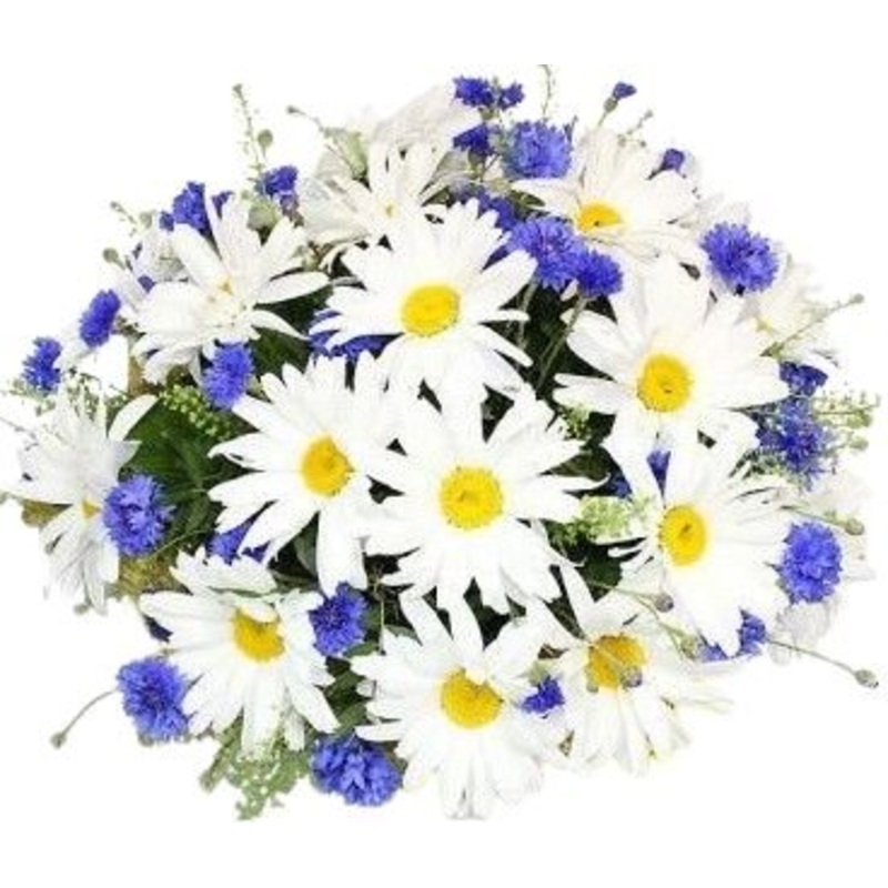 Daisies and Cornflowers Bouquet