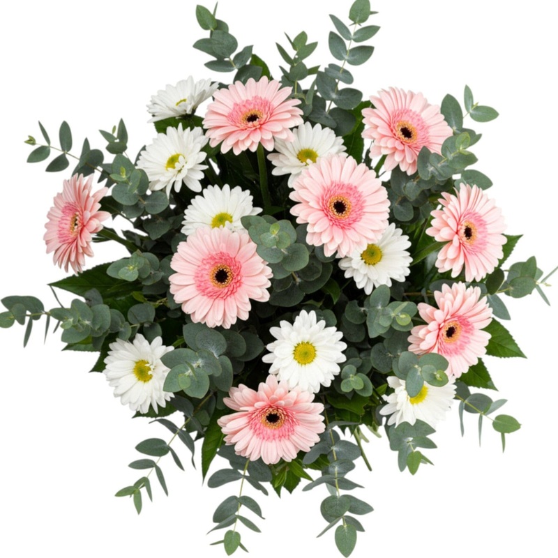 Daisies and Gerberas Bouquet-Extra Small (20 stems) & Small (35 stems) & Regular (45 stems) & Medium (55 stems) & Large (70 stems) & Extra Large (85 stems) & Luxury (100 stems) & Glamour (125 stems) & Exclusive Glamour (150 stems) & Posh (200 stems)-Pink