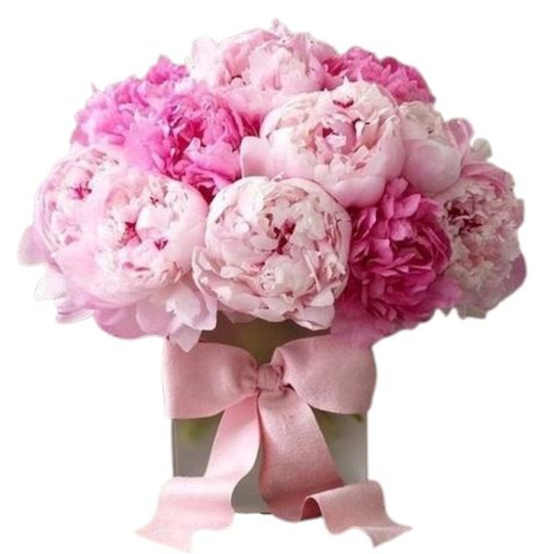 Duo Peonies Luxury Box-Small (10 stems) & Regular (15 stems) & Large (20 stems) & Extra Large (25 stems) & Luxury (30 stems) & Glamour (40 stems) & Exclusive Glamour (50 stems) & Premium (70 stems) & Premium Extra (85 stems) & Posh (100 stems)-Light Pink