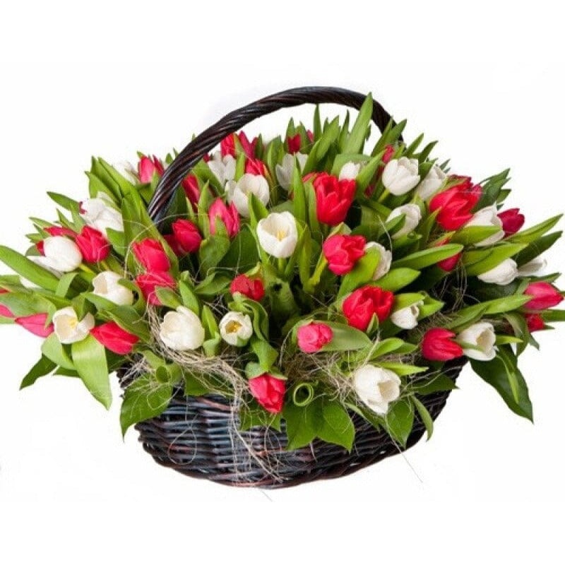 Duo Tulips Basket-Extra Small (20 stems) & Small (40 stems) & Regular (60 stems) & Extra Large (80 stems) & Luxury (100 stems) & Glamour (120 stems) & Exclusive Glamour (140 stems) & Premium (160 stems) & Deluxe (180 stems) & Posh (200 stems) & Deluxe Ext