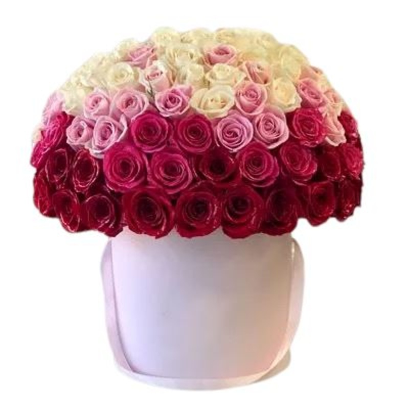 Gorgeous Gradient Roses Box-Extra Small (40 stems) & Small (60 stems) & Regular (80 stems) & Large (100 stems) & Extra Large (120 stems) & Luxury (140 stems) & Glamour (160 stems) & Exclusive Glamour (180 stems) & Premium (200 stems) & Premium Extra (240