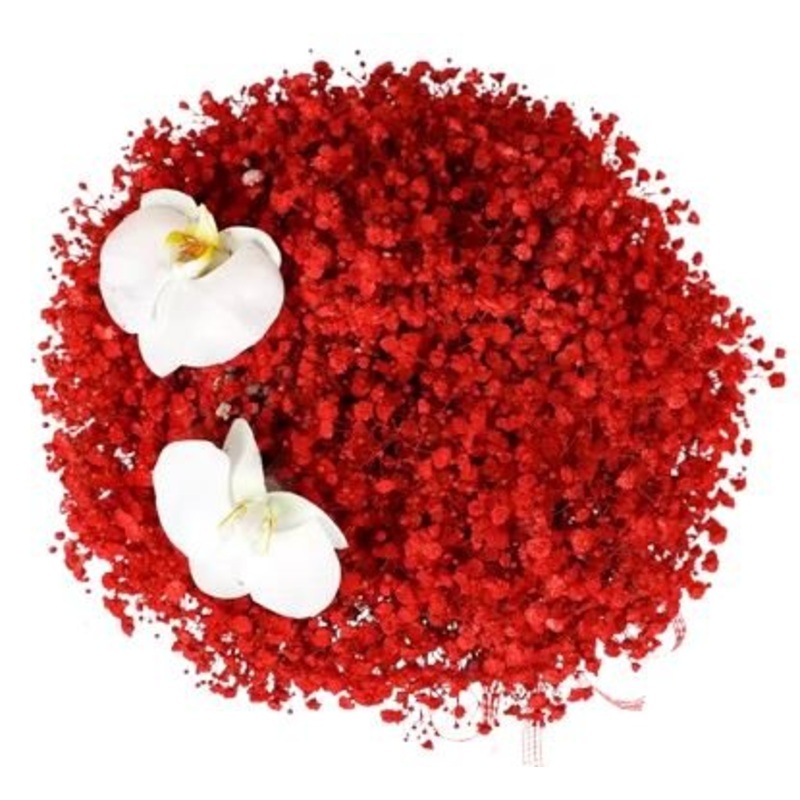 Gypsophila Bouquet with Phalaenopsis Orchid